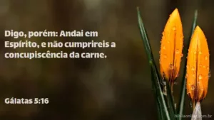 Digo, porém: Andai em Espírito, e não cumprireis a concupiscência da carne. Gálatas 5:16