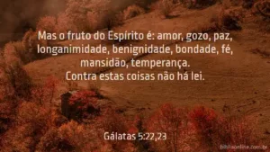 Mas o fruto do Espírito é: amor, gozo, paz, longanimidade, benignidade, bondade, fé, mansidão, temperança. Contra estas coisas não há lei. Gálatas 5:22,23