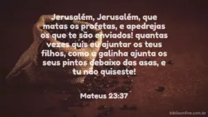 Jerusalém, Jerusalém, que matas os profetas, e apedrejas os que te são enviados! quantas vezes quis eu ajuntar os teus filhos, como a galinha ajunta os seus pintos debaixo das asas, e tu não quiseste! Mateus 23:37