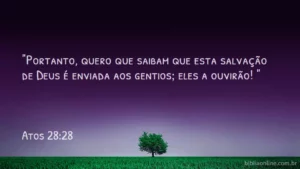 "Portanto, quero que saibam que esta salvação de Deus é enviada aos gentios; eles a ouvirão! " Atos 28:28