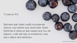 Gostaria que todos vocês falassem em línguas, mas prefiro que profetizem. Quem profetiza é maior do que aquele que fala em línguas, a não ser que as interprete, para que a igreja seja edificada. 1 Coríntios 14:5