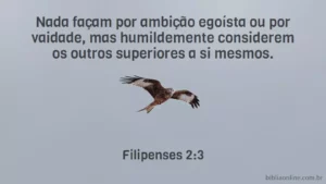 Nada façam por ambição egoísta ou por vaidade, mas humildemente considerem os outros superiores a si mesmos. Filipenses 2:3