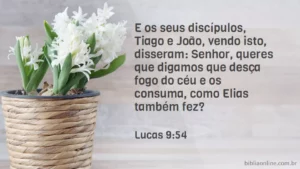 E os seus discípulos, Tiago e João, vendo isto, disseram: Senhor, queres que digamos que desça fogo do céu e os consuma, como Elias também fez? Lucas 9:54