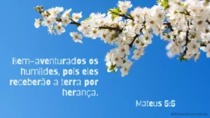 Bem-aventurados os humildes, pois eles receberão a terra por herança. Mateus 5:5