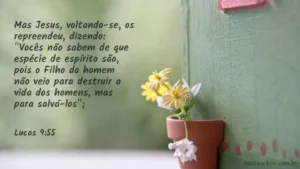Voltando-se, porém, repreendeu-os, e disse: Vós não sabeis de que espírito sois. Lucas 9:55