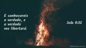 E conhecereis a verdade, e a verdade vos libertará. João 8:32