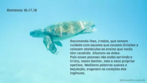 Recomendo-lhes, irmãos, que tomem cuidado com aqueles que causam divisões e colocam obstáculos ao ensino que vocês têm recebido. Afastem-se deles. Pois essas pessoas não estão servindo a Cristo, nosso Senhor, mas a seus próprios apetites. Mediante palavras suaves e bajulação, enganam os corações dos ingênuos. Romanos 16:17,18