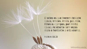 E todos os que tiverem deixado casas, irmãos, irmãs, pai, mãe, filhos ou campos, por minha causa, receberão cem vezes mais e herdarão a vida eterna. Mateus 19:29
