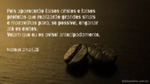 Pois aparecerão falsos cristos e falsos profetas que realizarão grandes sinais e maravilhas para, se possível, enganar até os eleitos. Vejam que eu os avisei antecipadamente. Mateus 24:24,25