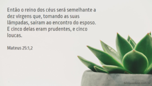 Então o reino dos céus será semelhante a dez virgens que, tomando as suas lâmpadas, saíram ao encontro do esposo. E cinco delas eram prudentes, e cinco loucas. Mateus 25:1,2