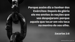 Porque assim diz o Senhor dos Exércitos: Depois da glória ele me enviou às nações que vos despojaram; porque aquele que tocar em vós toca na menina do seu olho. Zacarias 2:8