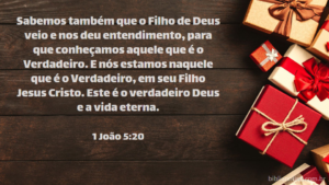 Sabemos também que o Filho de Deus veio e nos deu entendimento, para que conheçamos aquele que é o Verdadeiro. E nós estamos naquele que é o Verdadeiro, em seu Filho Jesus Cristo. Este é o verdadeiro Deus e a vida eterna. 1 João 5:20