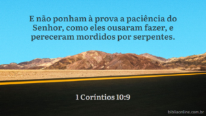 E não ponham à prova a paciência do Senhor, como eles ousaram fazer, e pereceram mordidos por serpentes. 1 Coríntios 10:9