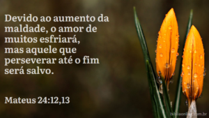 E, por se multiplicar a iniqüidade, o amor de muitos esfriará. Mas aquele que perseverar até ao fim, esse será salvo. Mateus 24:12,13