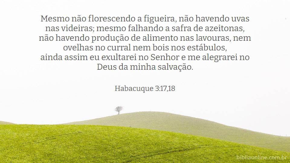 Mesmo não florescendo a figueira, não havendo uvas nas videiras; mesmo falhando a safra de azeitonas, não havendo produção de alimento nas lavouras, nem ovelhas no curral nem bois nos estábulos, ainda assim eu exultarei no Senhor e me alegrarei no Deus da minha salvação. Habacuque 3:17,18