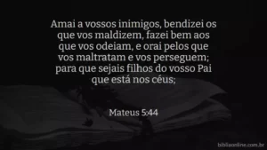 Amai a vossos inimigos, bendizei os que vos maldizem, fazei bem aos que vos odeiam, e orai pelos que vos maltratam e vos perseguem; para que sejais filhos do vosso Pai que está nos céus; Mateus 5:44