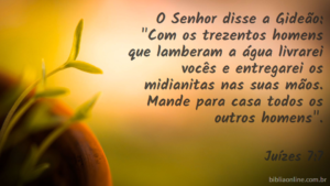 E disse o Senhor a Gideão: Com estes trezentos homens que lamberam as águas vos livrarei, e darei os midianitas na tua mão; portanto, todos os demais se retirem, cada um ao seu lugar. Juízes 7:7
