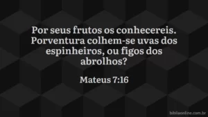 Vocês os reconhecerão por seus frutos. Pode alguém colher uvas de um espinheiro ou figos de ervas daninhas? Mateus 7:16
