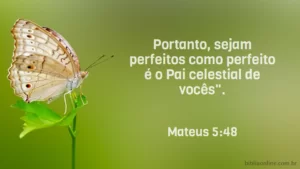 Portanto, sejam perfeitos como perfeito é o Pai celestial de vocês". Mateus 5:48