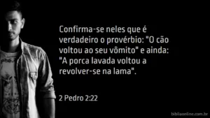 Confirma-se neles que é verdadeiro o provérbio: "O cão voltou ao seu vômito" e ainda: "A porca lavada voltou a revolver-se na lama". 2 Pedro 2:22