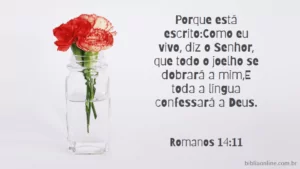 Porque está escrito:Como eu vivo, diz o Senhor, que todo o joelho se dobrará a mim,E toda a língua confessará a Deus. Romanos 14:11