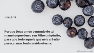 Porque Deus amou o mundo de tal maneira que deu o seu Filho unigênito, para que todo aquele que nele crê não pereça, mas tenha a vida eterna. João 3:16